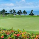 헬로우골프투어 이미지