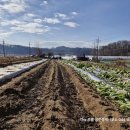 THE오름공인중개사사무소 이미지