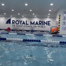 응암초등 | 은평구수영장 로얄마린 응암점 무료 체험수업 후기