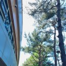 장미어린이공원 화장실 이미지