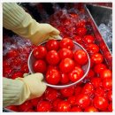 주식회사 건강한친구 이미지