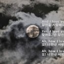 Nights In White Satin~The Moody Blues 이미지