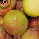 맛가득(Dulcior Square)