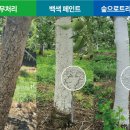 kcc페인트 이미지