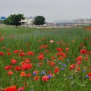 도농체육공원 이미지