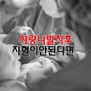 보스톤튼튼치과의원 이미지