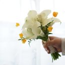 설악웨딩타운(주) 이미지