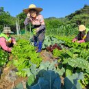 가수원로-24 이미지