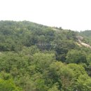 녹번동 155-4 이미지