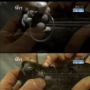 안녕, 멍멍아 이미지