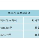 에스와이케이 이미지