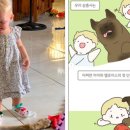 쌍둥이 농장 이미지