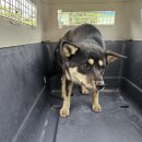 화지6리 이미지