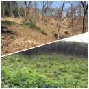 명심농장 이미지