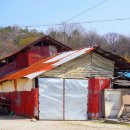 본1리마을회관 이미지