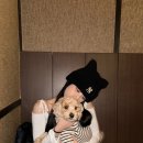 [MARI] 스위치야아 ＞＜ 꼭 봐죠🩵 새해 이후로 오랜만이댜!!!🖤 이미지
