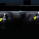 호계경희한의원 이미지