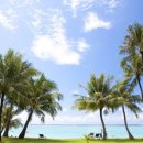 프로24(1111) 이미지