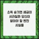 좋은세무회계컨설팅