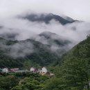 지리산화개깊은골 이미지
