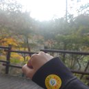 올치동물병원 이미지