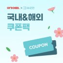 서일여행 | 창억떡 호박인절미 가격 광주 본점 웨이팅 대전 선물세트 보관 하말넘많 후기