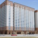 트인자리애 2차 이미지