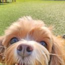 멍펜션2 이미지