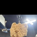 서정 정도관 이미지