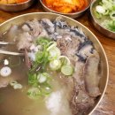 이것이국밥이다내포 | 서울 국밥 맛집 곰탕 하동관 코엑스 점심 내돈내산