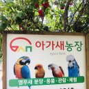 화려농장 이미지