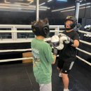 카운터 복싱 이미지