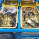 고성수산횟집 이미지