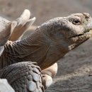 영남권투체육관 이미지