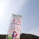 문경사과축제 4-독이 든 문경사과 이미지