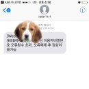 인터넷뱅킹 비번 오류 횟수 초과되서 저렇게 문자왓는데 이미지