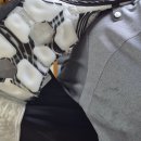 푸른환경건설 | 여름 필수템 추천! 부모님 선물로 준비한 리쿨베스트 쿨링조끼 후기 🧊☀️