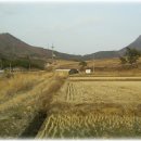금산1구 이미지