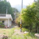 숲속에 아침 이미지