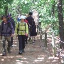 개화산 자락길 이미지