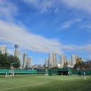 푸른마당근린공원 테니스장