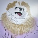 다드림애드 앞 교통섬 | 밀린 일상 기록 23.12 파이브가이즈/애플 아이패드 무료세션/지코바 원주명륜점/별잎정원/청년다방...