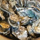 2453 | KBS 2TV [생생정보] 2453회 가격파괴 Why ‘굴찜 무한 리필 1인 13,000원’ 맛집 소개