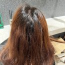 도연헤어 - 고양시 일산동구 | 도연헤어