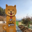 대구 장동공원 달서 반려견 놀이터 솔직 후기