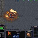 벙커속의저글링 이미지