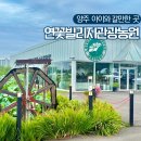 (주)시원관광 | 연꽃빌리지관광농원 양주 가볼만한곳 카페 수영장 바베큐체험 후기