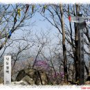 남양농장 이미지