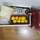 한동향기 이미지