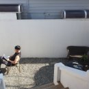 일구팔팔(1988) 이미지